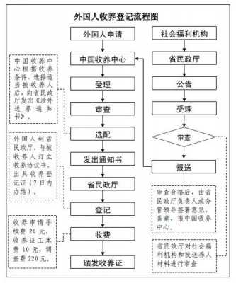 领养手续流程（领养手续麻烦吗）-第2张图片-祥安律法网