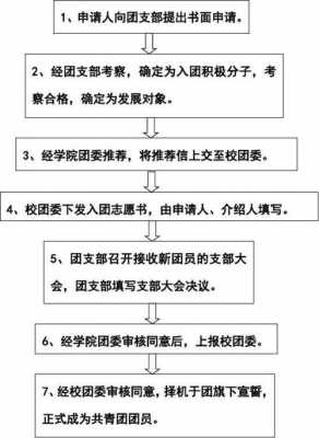 大学生入团流程（大学生入团流程示意图）-第1张图片-祥安律法网