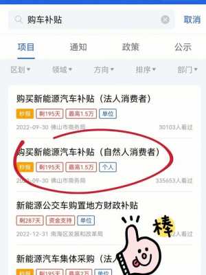 汽车补贴流程（车辆补贴怎么查询）-第3张图片-祥安律法网