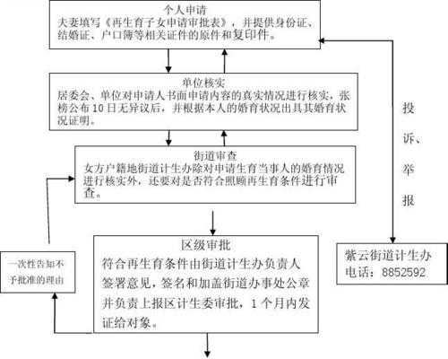 重庆再生育流程（重庆市再生育服务证办理程序）-第1张图片-祥安律法网