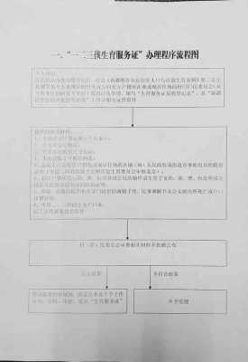 重庆再生育流程（重庆市再生育服务证办理程序）-第2张图片-祥安律法网